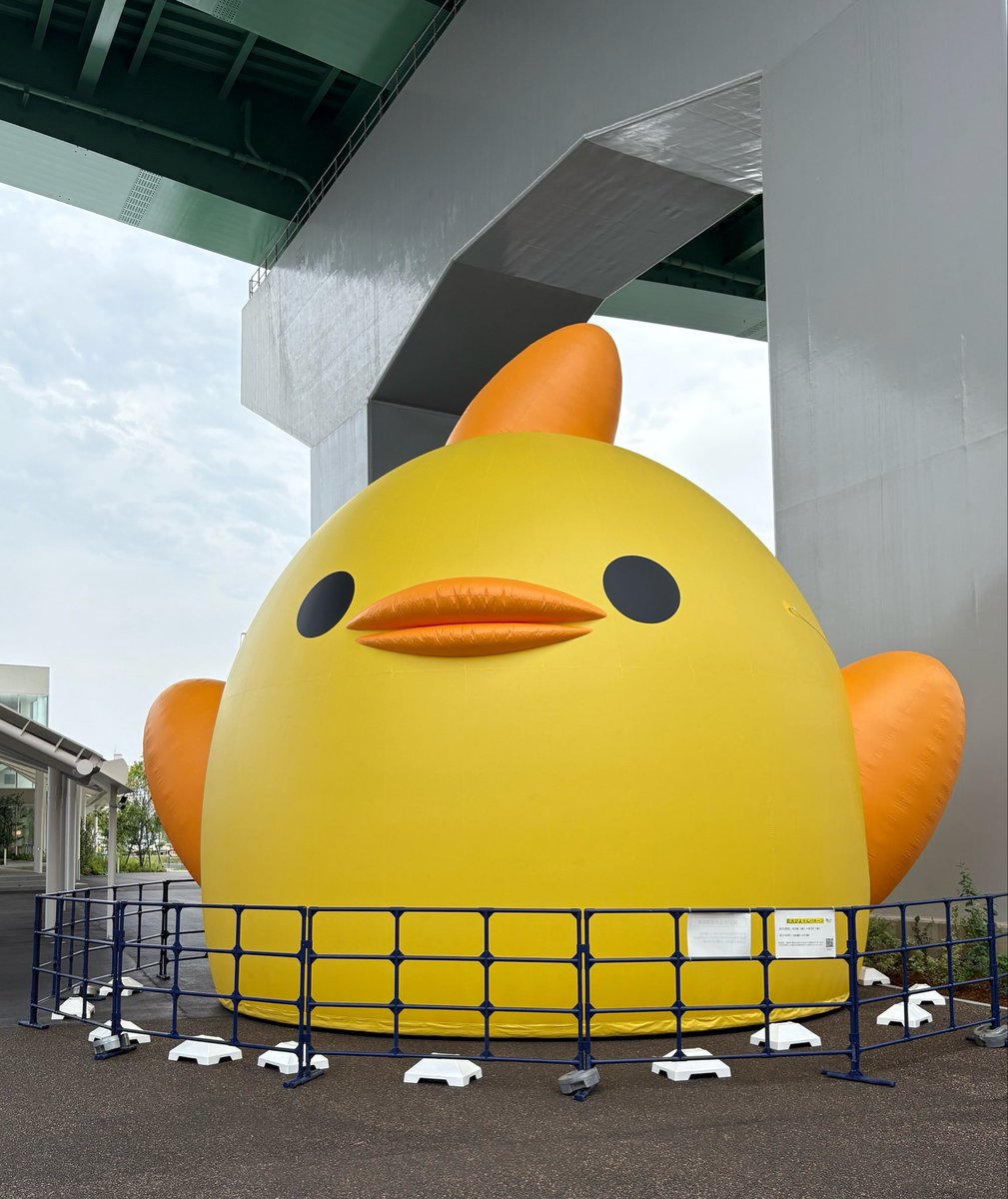 kao_eo's tweet photo. ぴよりんバルーン https://t.co/YN4kvqLIQS