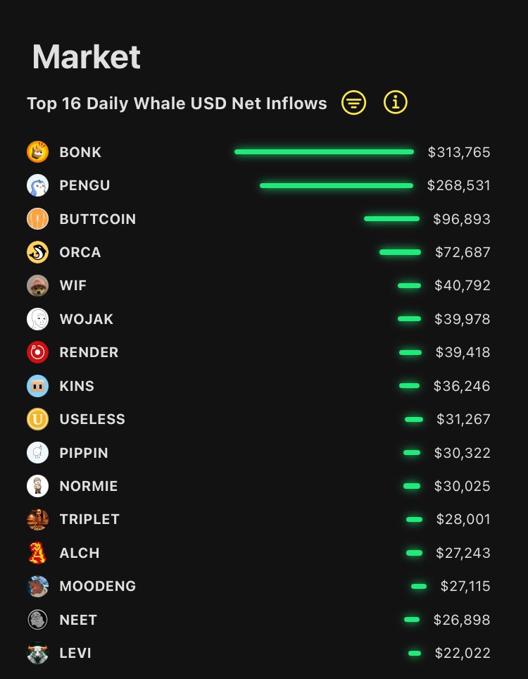 SunFlowSolana's tweet photo. $BONK and $PENGU top 24 hour whale inflows on Solana

Small cap $BUTTCOIN sits in 3rd place

Whales are placing positions across Solana right now, now is the time to be positioning with them

The full list of top whale inflows were ⬇️

#1 BONK
#2 PENGU
#3 BUTTCOIN
#4 ORCA
#5 WIF

To view other whale inflow timeframes, see our web app in the replies ⬇️