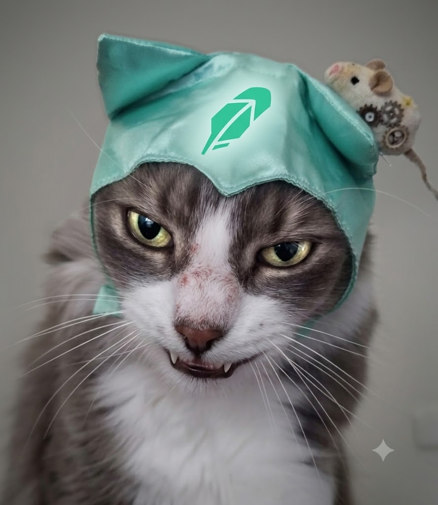 TheHoodMeow's tweet photo. @ika_xbt $HOODMEOW will flip $CASHCAT first https://t.co/sbLDd4WYYe