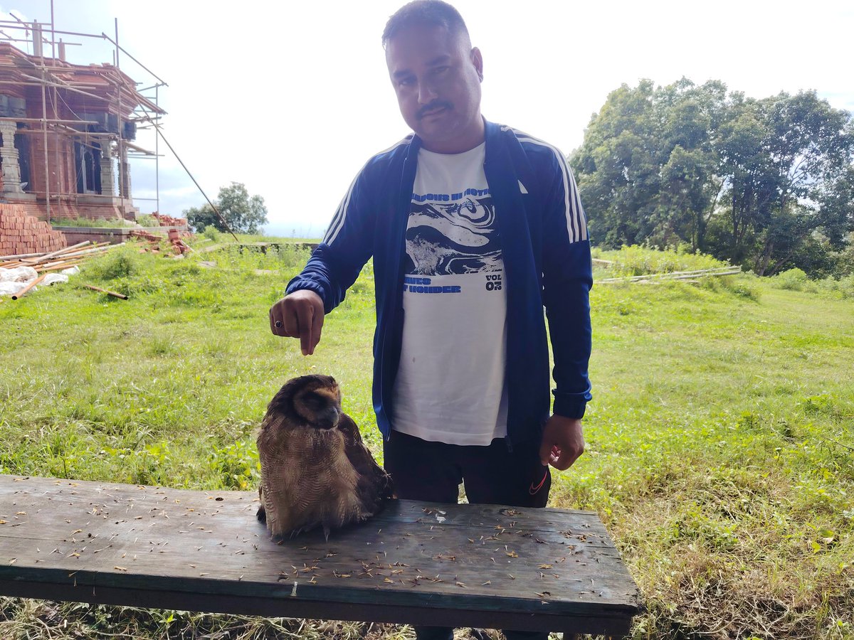 DineshKalel's tweet photo. https://t.co/vpt1KD2L0g