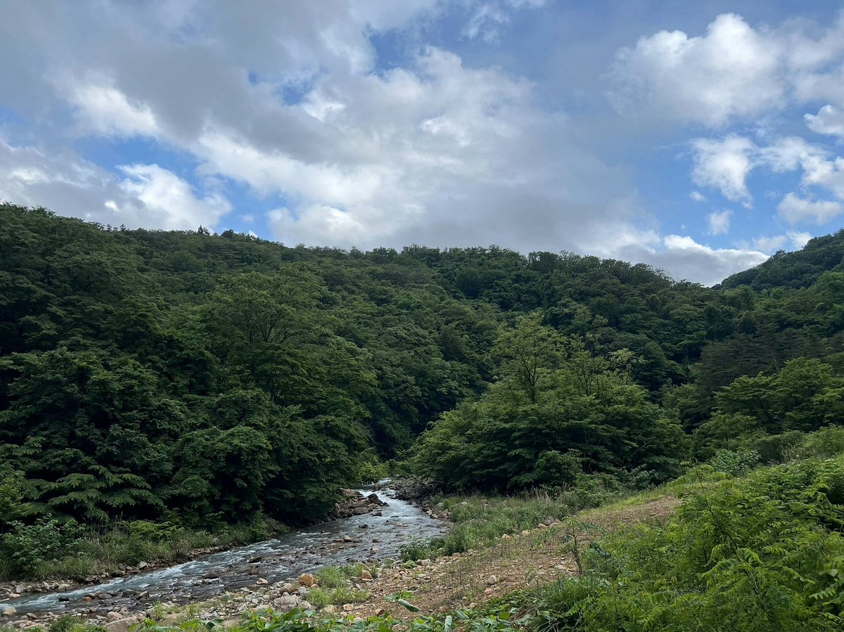 DempseyTenesha's tweet photo. 心身的に病んだから休職してるって噂の同期がいるんだけどその割にバンバン平日にディズニー行ってるインスタ載ってるから普通にイラついちゃう狭い心やめたい https://t.co/4DRZy7Wrun