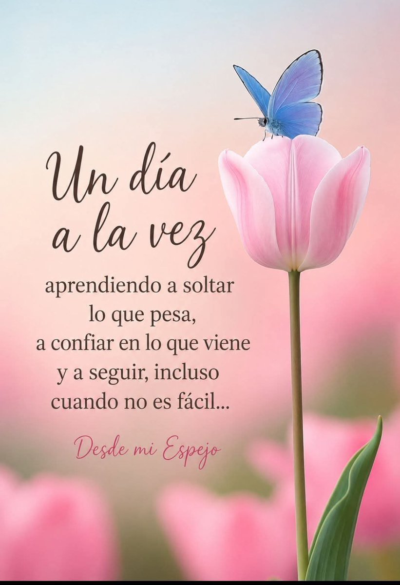 armando288913's tweet photo. https://t.co/Bk1bLgFG8W