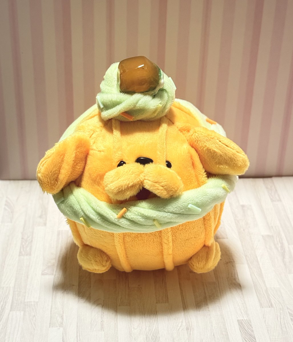 pepo8f's tweet photo. ホイプーちゃん、2匹目のお迎えです！
メロンちゃん可愛い〜😭💖🍈リボンちゃんと一緒に可愛がります… https://t.co/D4kbtUx20h