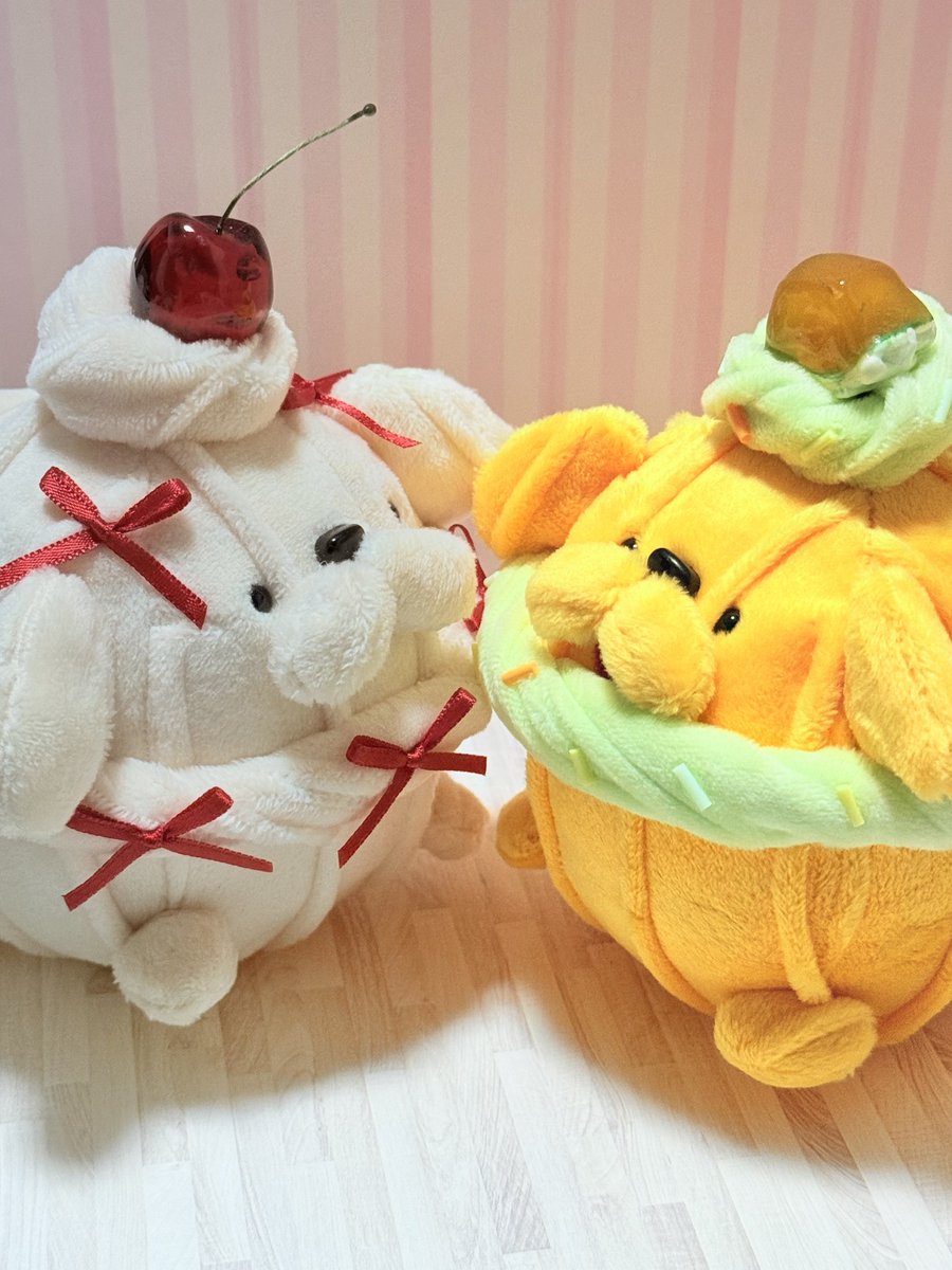pepo8f's tweet photo. ホイプーちゃん、2匹目のお迎えです！
メロンちゃん可愛い〜😭💖🍈リボンちゃんと一緒に可愛がります… https://t.co/D4kbtUx20h