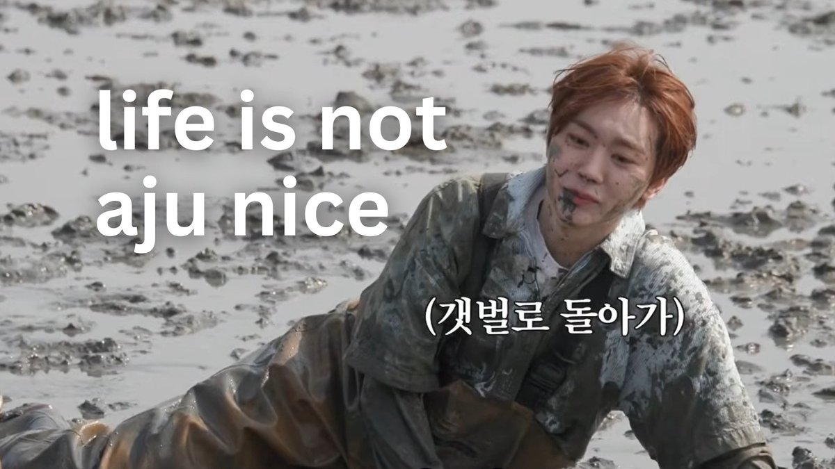 svtnserenade's tweet photo. life is not aju nice 😭😭😭 https://t.co/r23s6Xpw3T