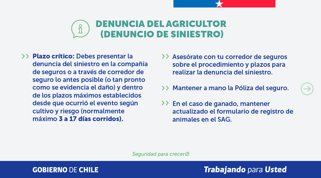 Ministerio de Agricultura de Chile 🇨🇱 tweet media
