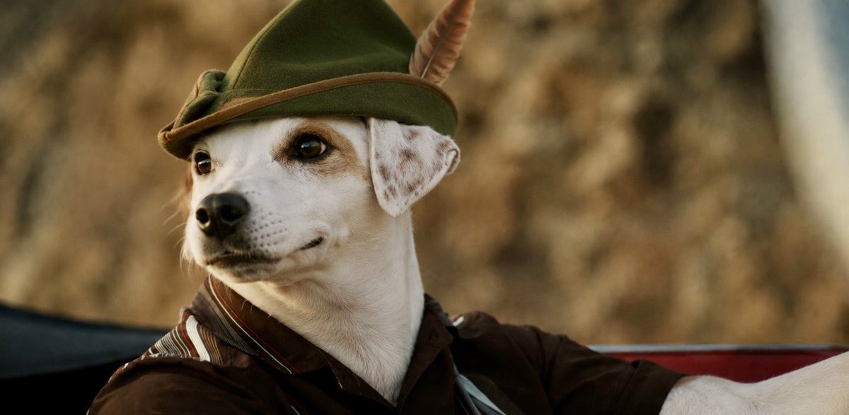 Wishbone tweet media
