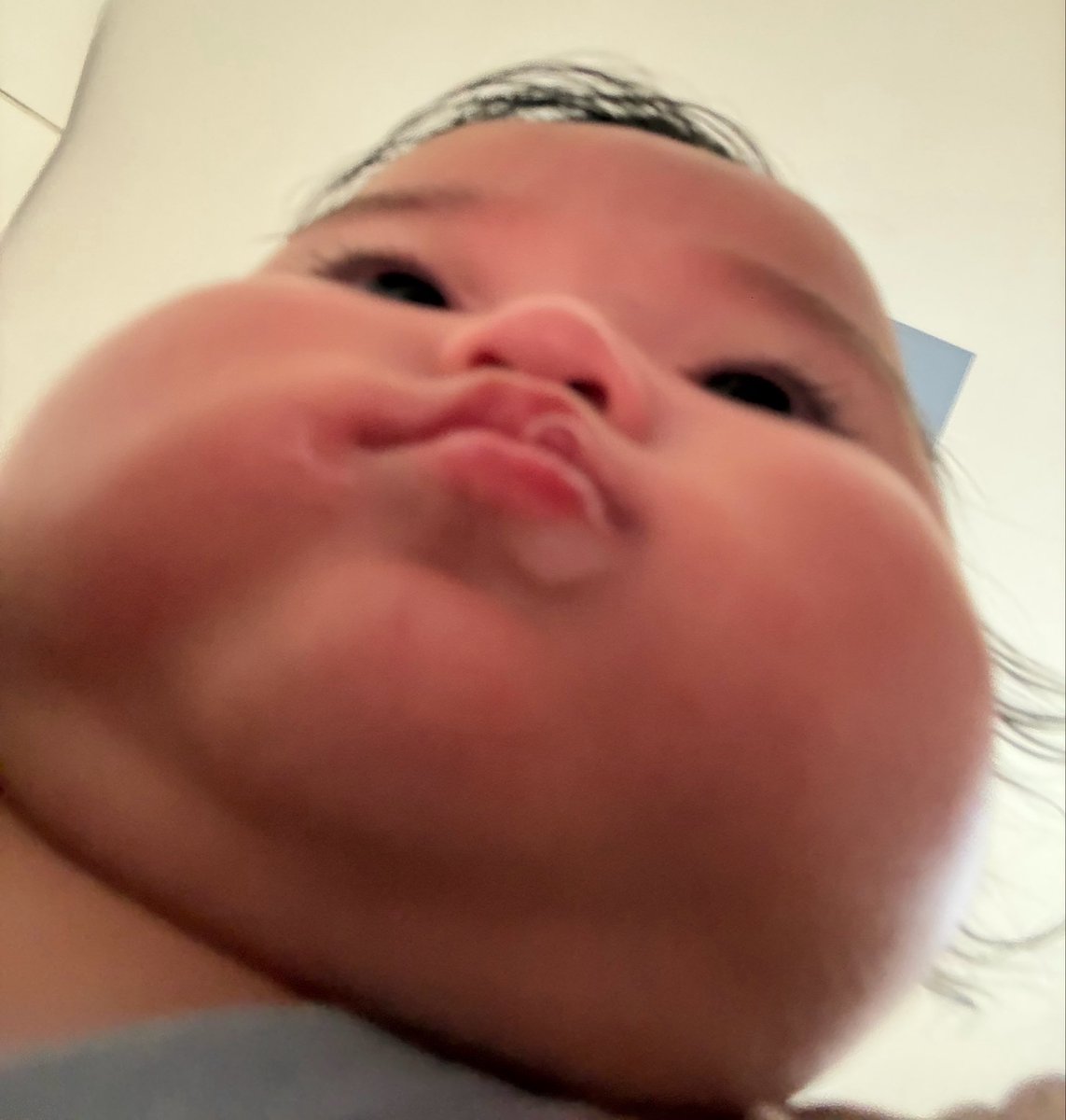 hzkkkk1's tweet photo. 原型とどめてないからそのまま載せちゃうんだけど
我が家のもっちゅりんがもっちゅりんすぎたので見てほしい🙏 https://t.co/OkNqJwCskP