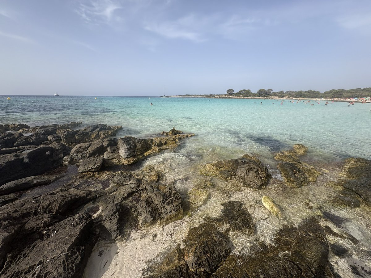 arwen710503's tweet photo. I CUCCIOLI già a Olbia 🥰🥰😍❤️❤️
E io godendo del paradiso di una piccola isola dal Mediterraneo 🩵🐠🏖️

#helevier #prestinez https://t.co/jwBBd3HE8b