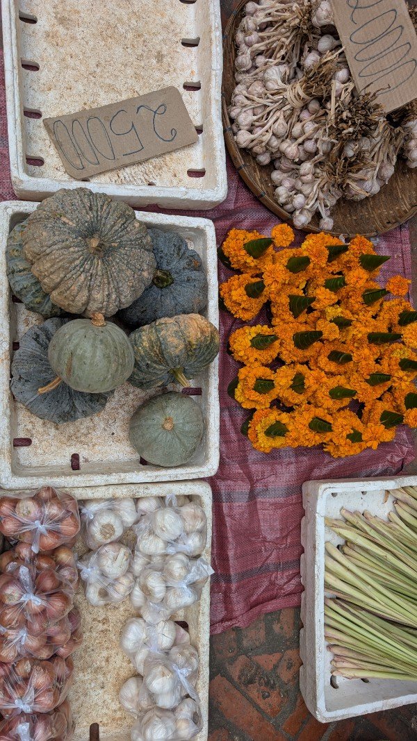 mridulablog's tweet photo. From the morning market at Luang Prabang Laos! It is less crowded than the night market because the world is full of people like me, who don't like to get up early! https://t.co/YJzfCY4yxT