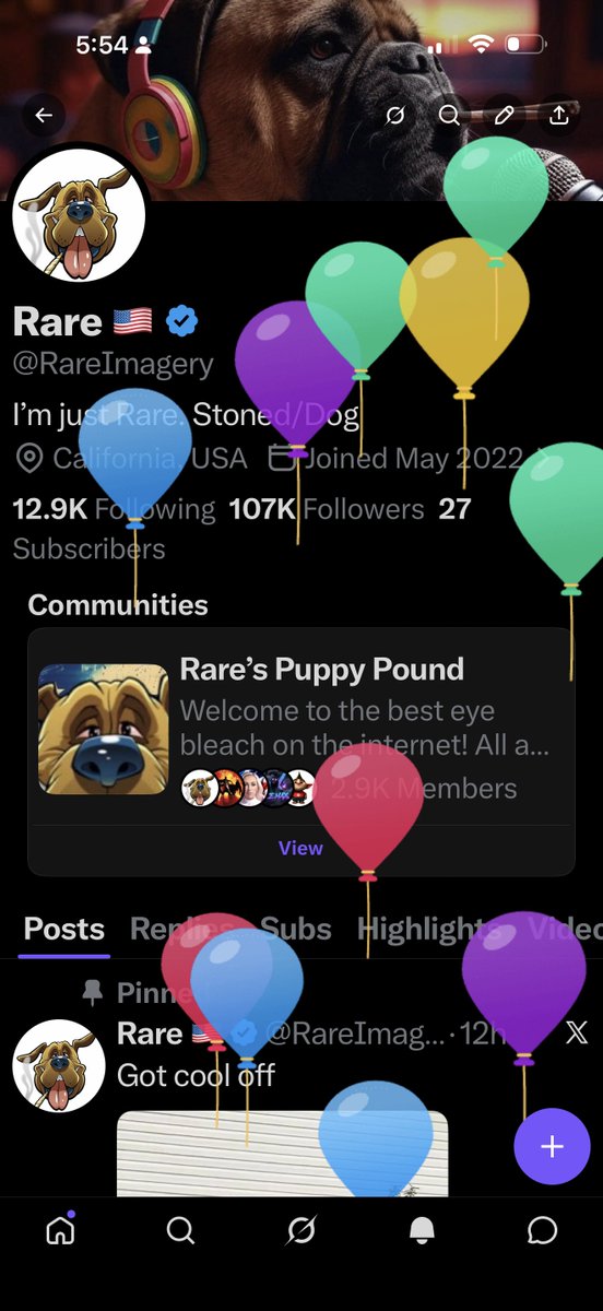 RareImagery's tweet photo. Since all my friends can see l my posts again, I got balloons! https://t.co/MB1WStHhsw