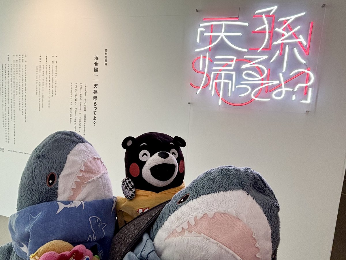 ﾇﾙの森に帰りにきたサメ🦈今日は落合陽一さんの天孫帰るってよ？を観に