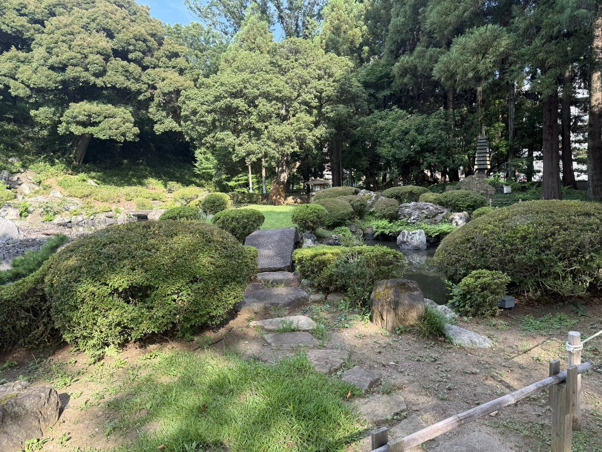 loverydocking's tweet photo. 香山園の剪定完了‼️
自然な感じに雑草も残して欲しいとの注文が難しかったけどうちの庭師がよくやってくれました‼️
ハウスクリーニングも剪定、木の伐採、草刈りなどもお任せください

#ハウスクリーニング 
#造園 
#お掃除 https://t.co/mIVNwcXpok