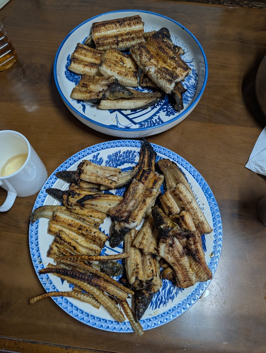 monobegawa's tweet photo. 今朝の仕掛け回収は3匹だけど
850g925g1200gの良型揃い🤩
キロアップは今年2本目
久しぶりにいっぱい焼いた🤤 https://t.co/On9MCusnml