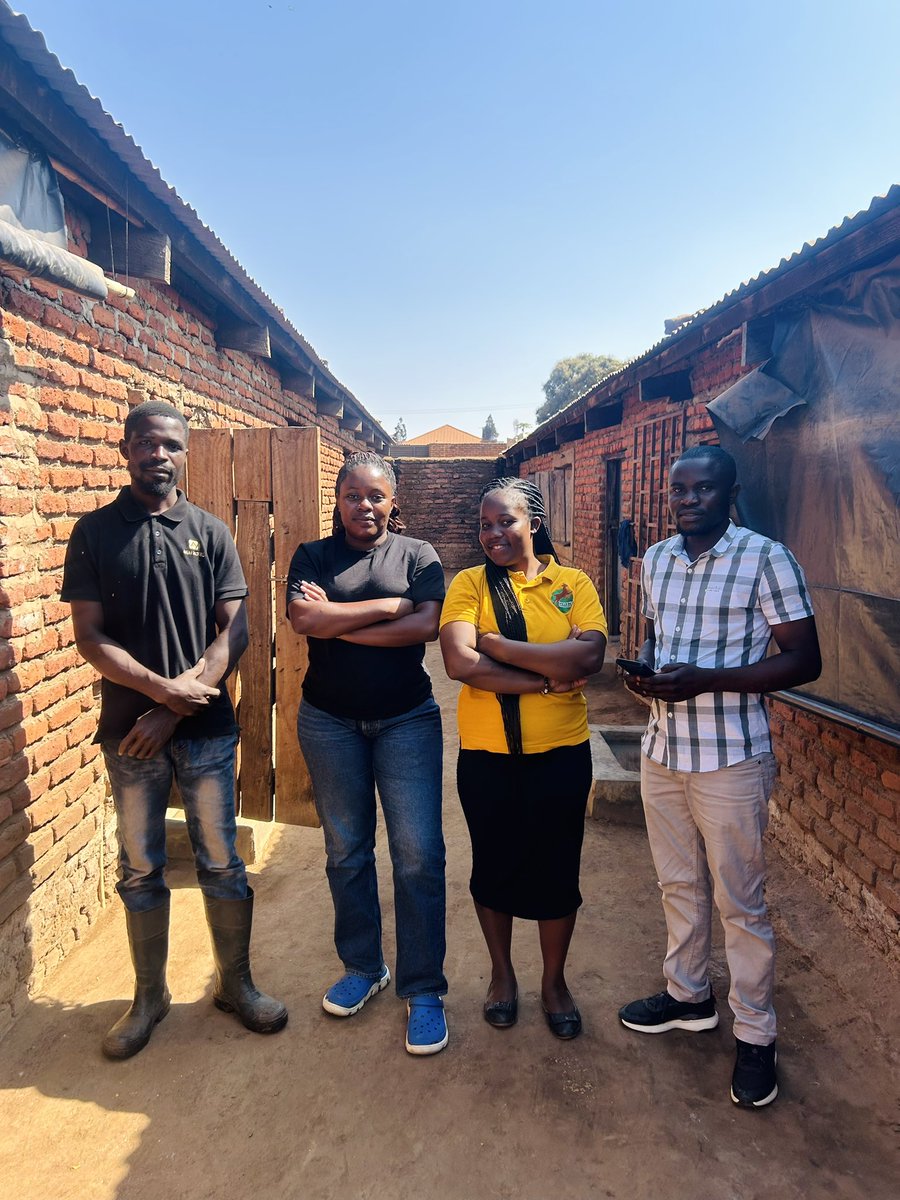 missrachelck's tweet photo. It was a privilege to be visited by Ziweto enterprise Limited 🙏🏼
Thank you for visiting Kwithu Farms 🤗 https://t.co/sXAaYY9Kyf