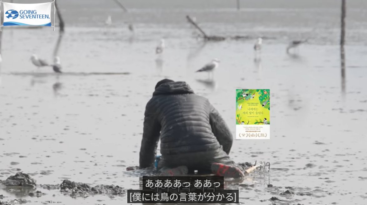KEYMRICH's tweet photo. これ！　SEVENTEENのゴセ序盤に出てきた本なんだけど日本の教授が出版した本でかなり面白いです！
シジュウカラに言語があったって話を研究していく話なんだけど……韓国で出版されて間もないのに字幕に装丁付きで出す鮮度の高さにびっくりした https://t.co/LbRchA4rWl