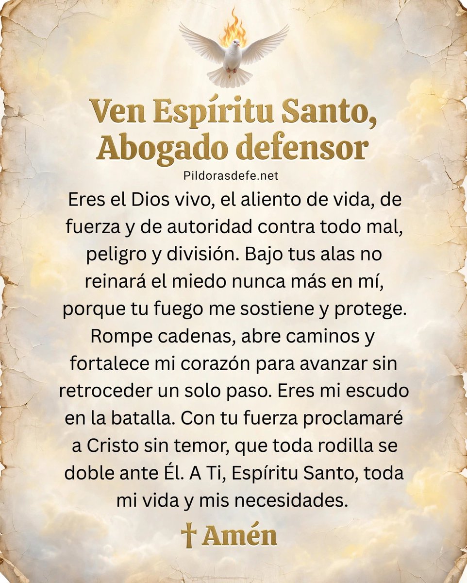 Pildorasdefe's tweet photo. Ven, Espíritu Santo, Abogado Defensor,
Bajo tus alas, nunca más reinará el miedo en mí.

🙏 https://t.co/UuCtsdNVt1