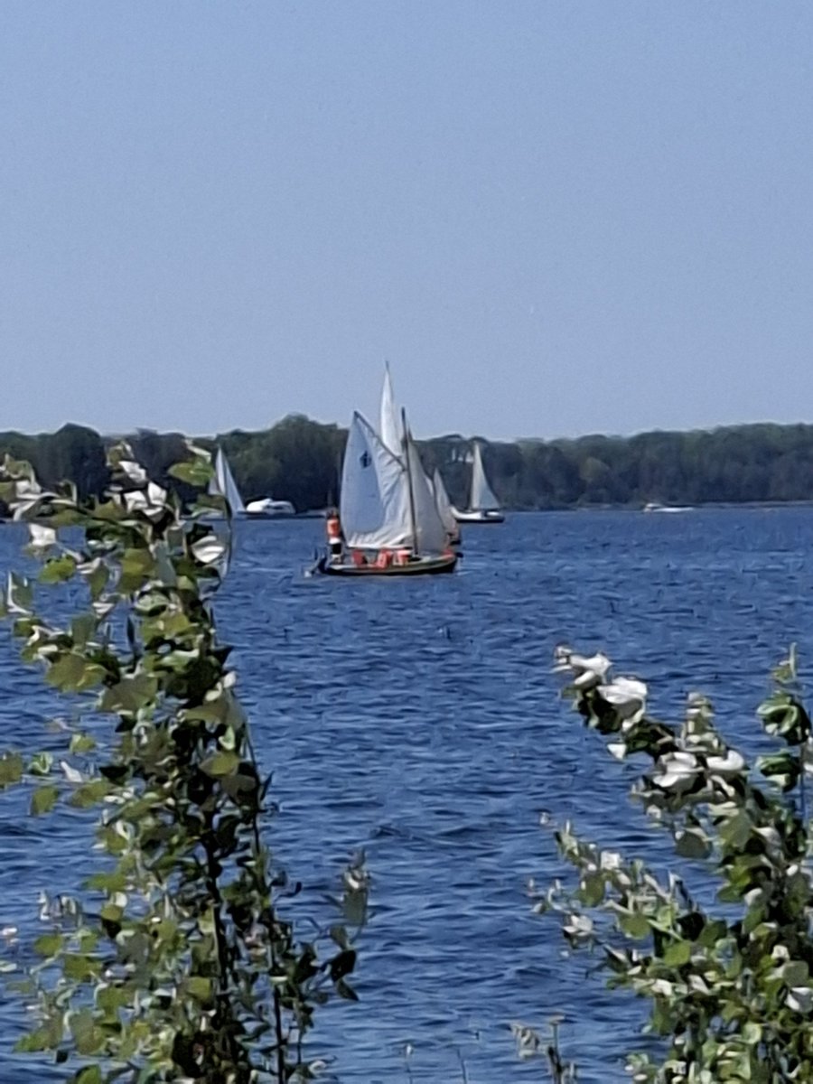 Cathar1a's tweet photo. #juli_Vakantiekiek #zeilboot
@dolly35161448 Fijne dag vandaag. https://t.co/JyAddgu4gJ