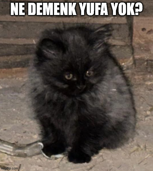 lvl99Lancer's tweet photo. Afyonkarahisar! YUVAA https://t.co/DQZcffsd3S