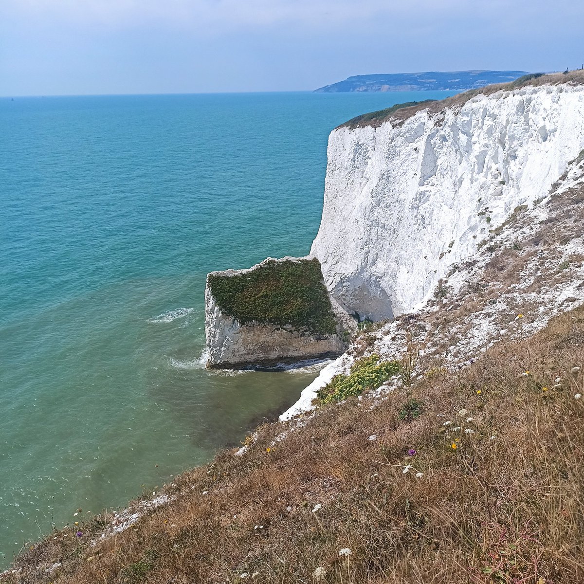 FT1987IOW's tweet photo. Horseshoe bay
Culver down
Isle of wight 
@VisitIOW https://t.co/IPlGLbshfx