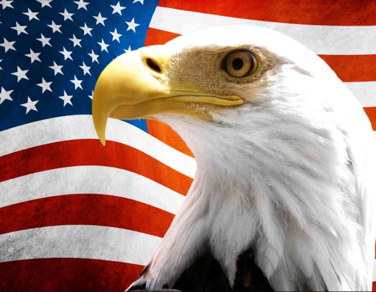GodandCountryy's tweet photo. Greatest Country in the World 🇺🇸🇺🇸🇺🇸 https://t.co/dgkFqQSNAr