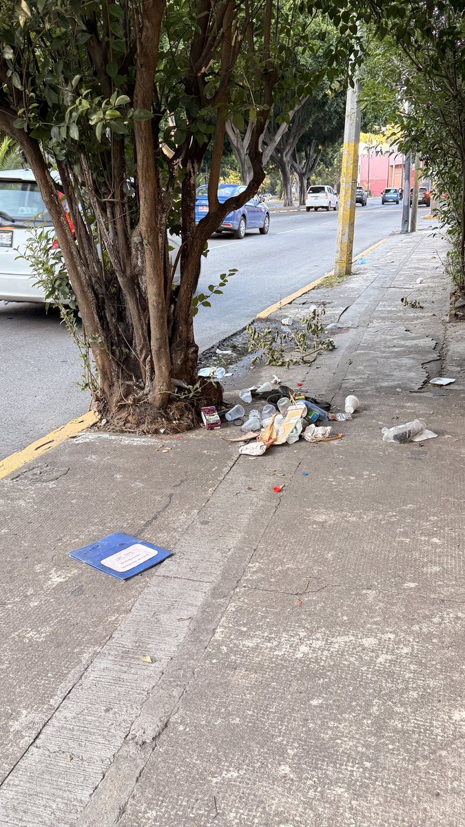 Sanfranvecinis's tweet photo. Basura sobre blvd 5 de mayo. Esquinas: Privada Segunda y Tercera Central. Apoyo por favor. @LimpiaPue @PueblaAyto #PueblaLimpia #PorAmorAPuebla https://t.co/jQtvVcGAXJ