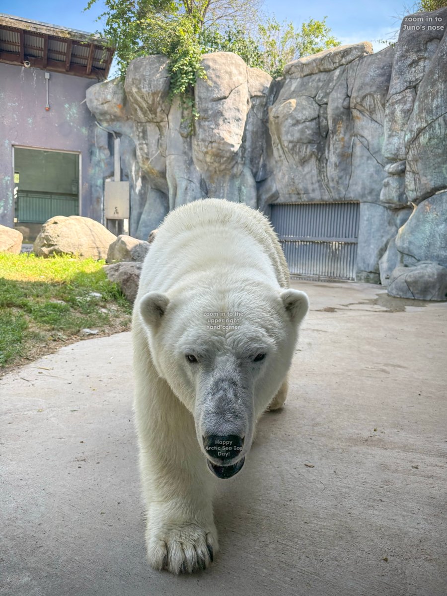 The Toronto Zoo tweet media