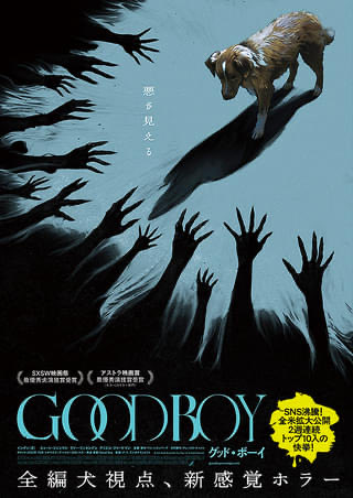 DempaKaii's tweet photo. 『GOODBOY』

犬視点ホラー。飼い主が祖父の遺した田舎の家にイ��ディ(犬)と共に療養に。忍び寄る不気味な存在から飼い主を守るため、走れインディ！行け、急げよ遅れるな。息が続くまで駆けろ〜！インディ　インディ　インディ？　インディ　インディー…… https://t.co/HGfBqG2BK1