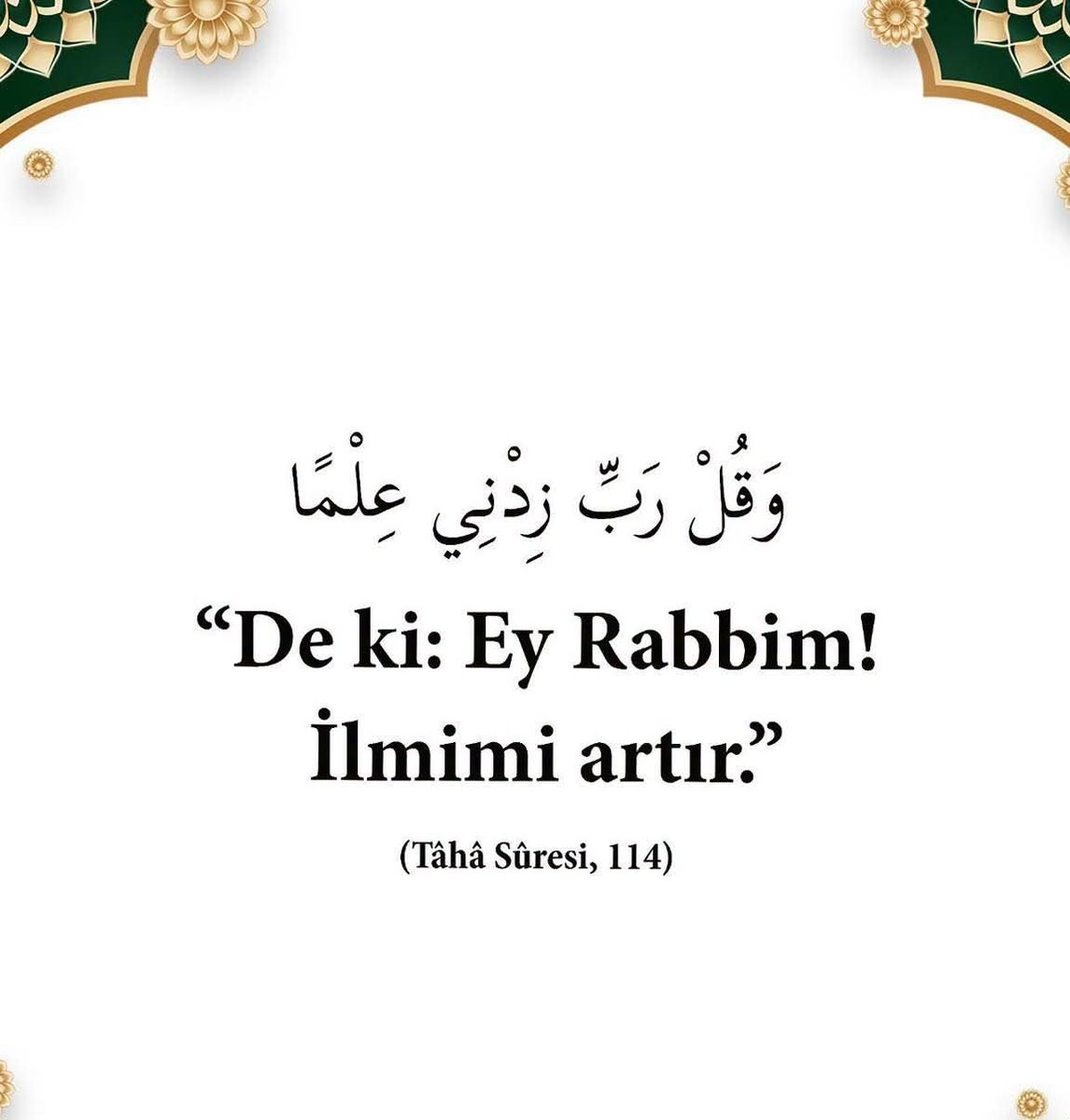 suheylagull4267's tweet photo. Ayet-i Kerime https://t.co/bvTz3GvJGb