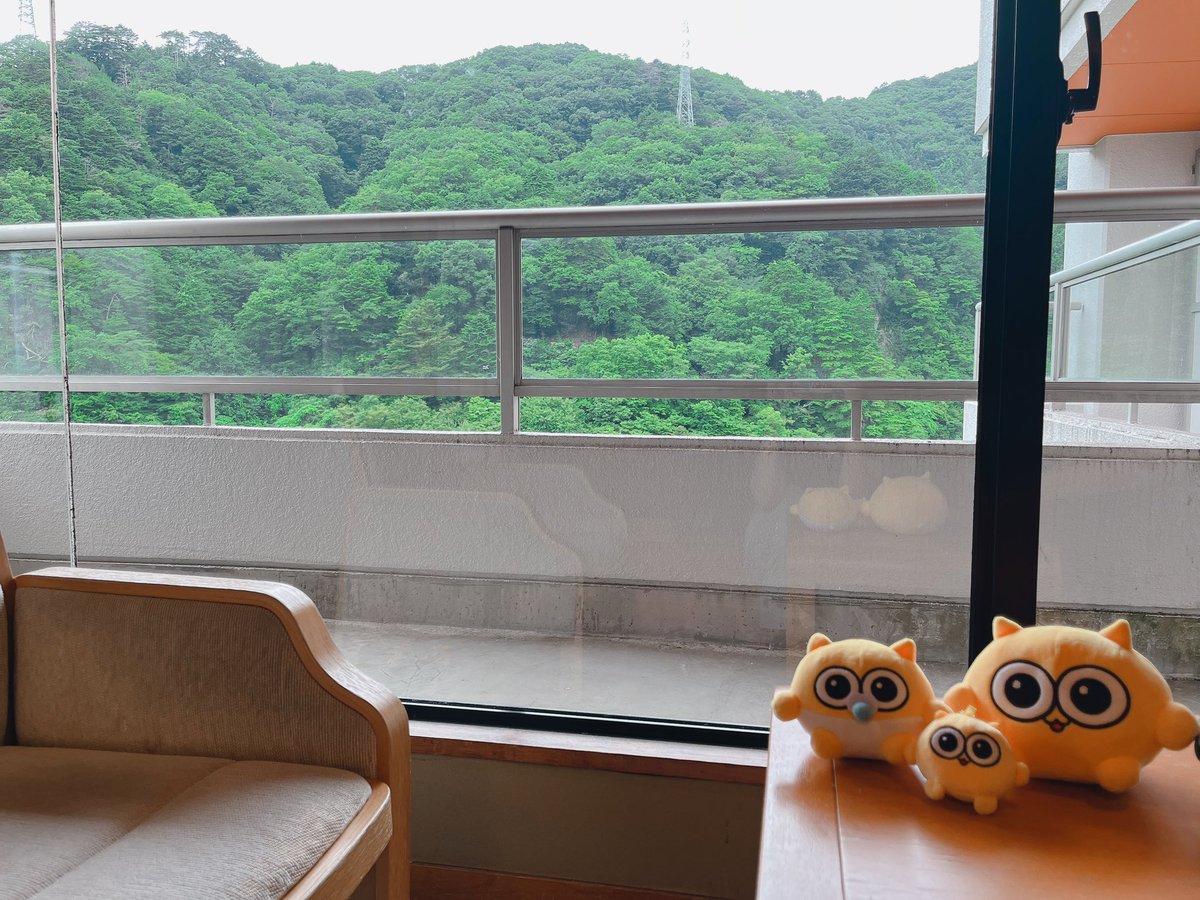 ks___h15's tweet photo. あまりにも幸せなことがありすぎた
とても楽しすぎる日々でしたな https://t.co/irgN84kd99