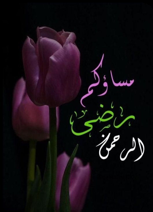 awatefh1's tweet photo. @_libanEM_Ahmad @talaathedia @rsvSXGjma1fPttA https://t.co/bMC5553YGT