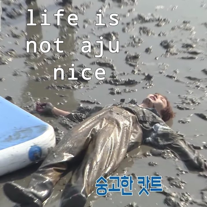 kkwanseungs's tweet photo. mood lately https://t.co/txE3Ra49T8