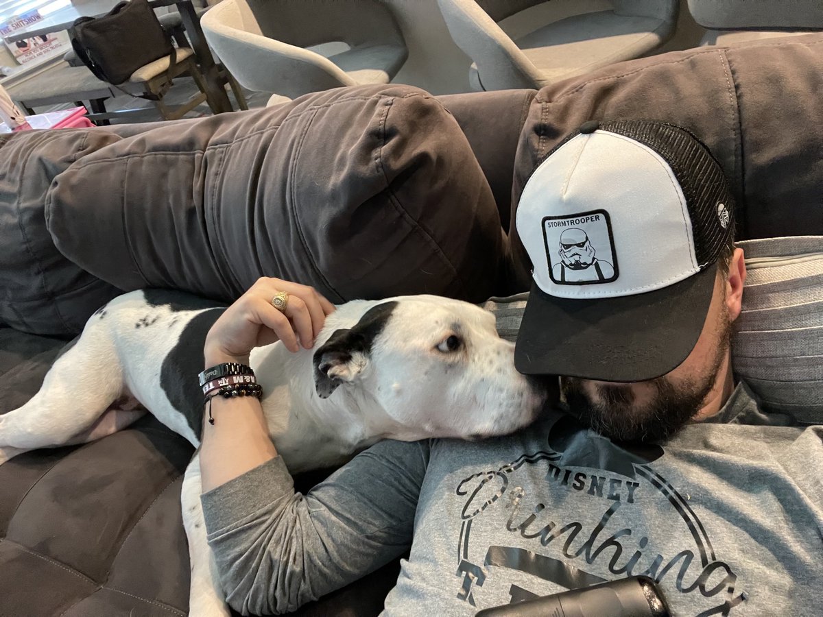 CrossExamin8r's tweet photo. Had to say goodbye to this sweet girl yesterday. Losing a pet is awful but I’m so glad for the 14 years we had. Run free, sweet Hadley. https://t.co/YxpS7eFI3b