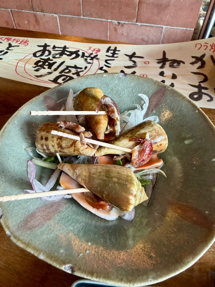 akihiro_0922's tweet photo. 出張ならではの1人居酒屋🏮 https://t.co/1yB1IHRp7t