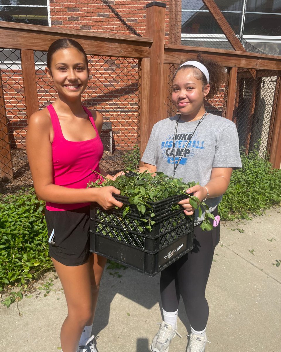 UCitySchools's tweet photo. 🌱 Our Education for Sustainability &amp; Agriculture students are back at the U. City Farmers Market today from 4:00-7:00 p.m.! Stop by for student-made products and produce grown in our school gardens!! 💚@UCSharonica https://t.co/yEQXu1kiTF