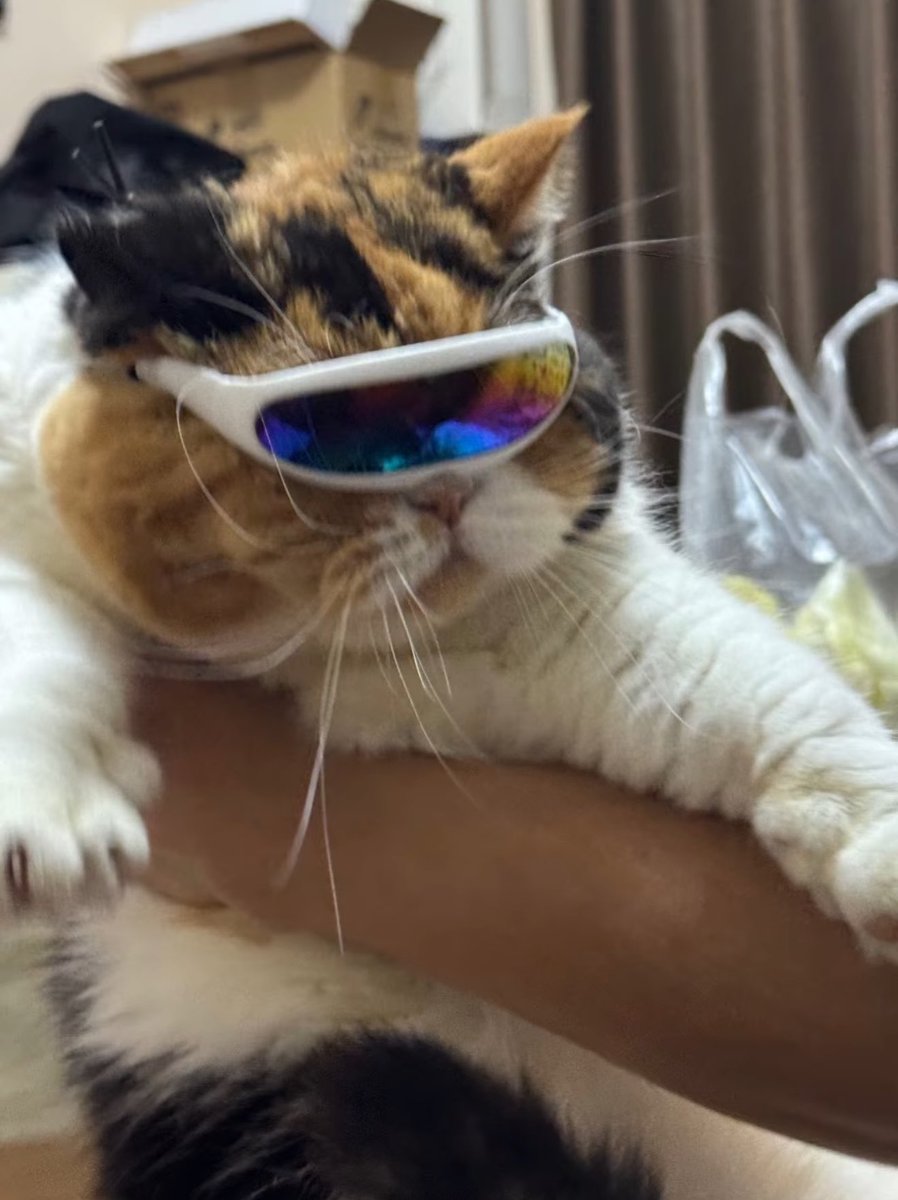 saiczu's tweet photo. ดูต่างกันนะ55555555 https://t.co/ujvGTgJ7Jb