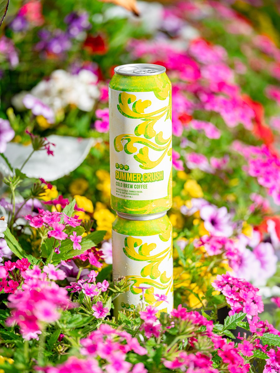 Summer Crush is back with a new blend of carefully selected coffee
