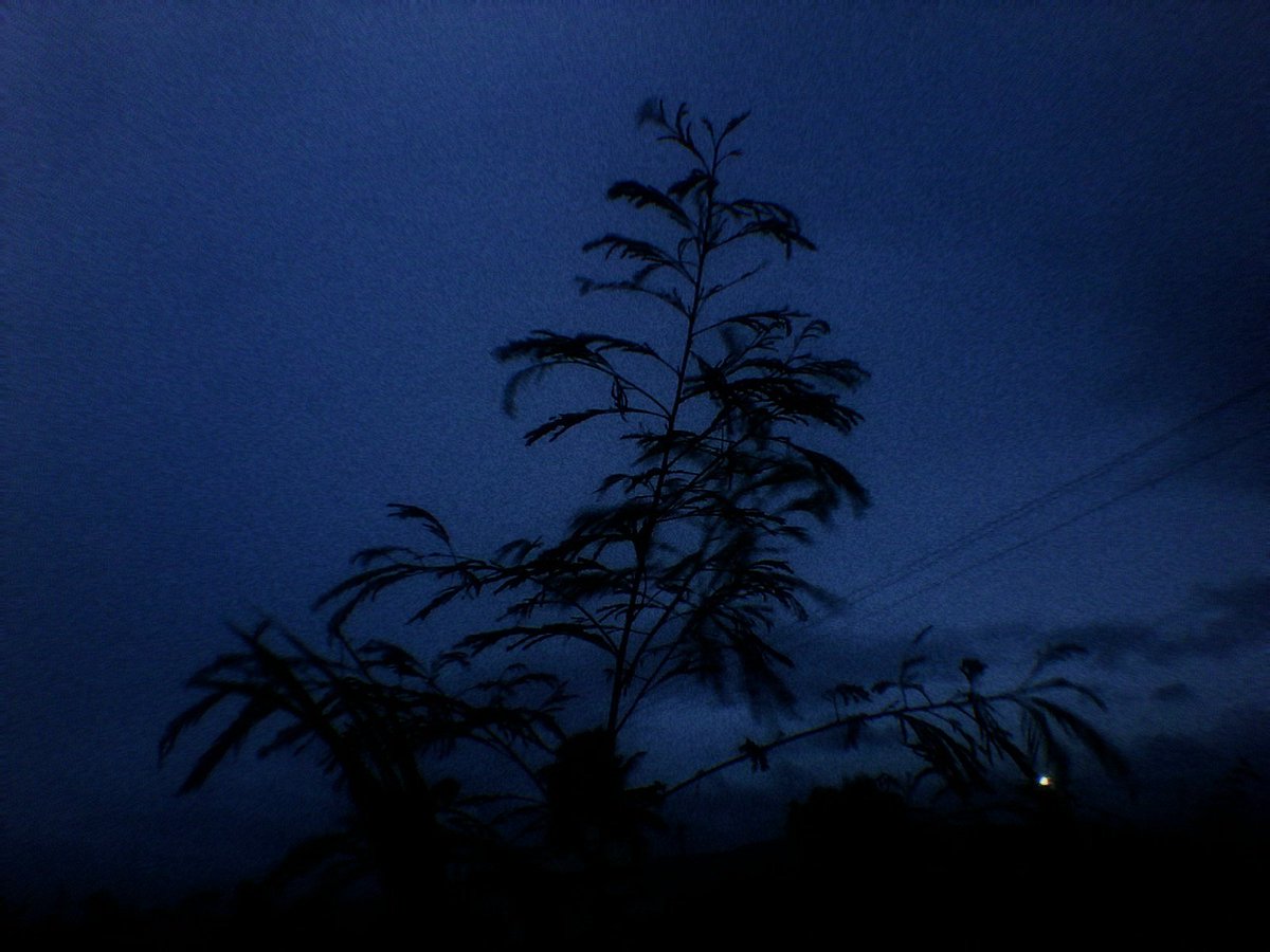 arthextic's tweet photo. blue hour on a two megapixel camera https://t.co/unuKVOL3La
