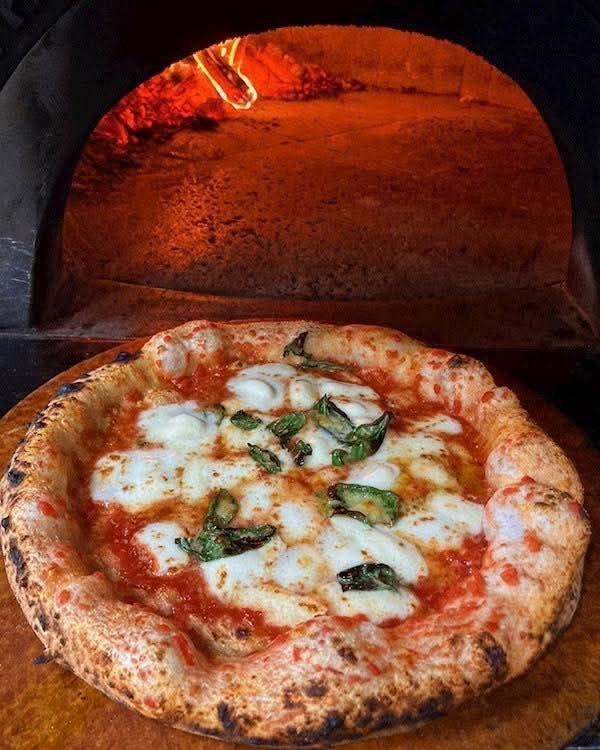 HerrFritz_'s tweet photo. como o pinterest te vê?

🍵bebida
🦊 animal
🍕 comida
🌹flor https://t.co/0NU1JCQS6I