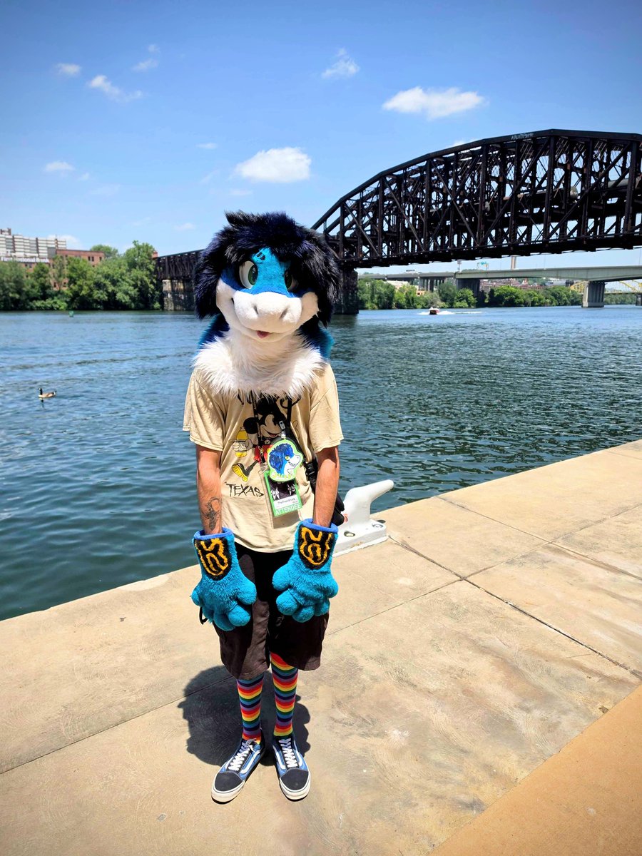 F4D3DF1UFF's tweet photo. 🦈 🌊 🌉 
More photos from Anthrocon! https://t.co/z7MngVls8A
