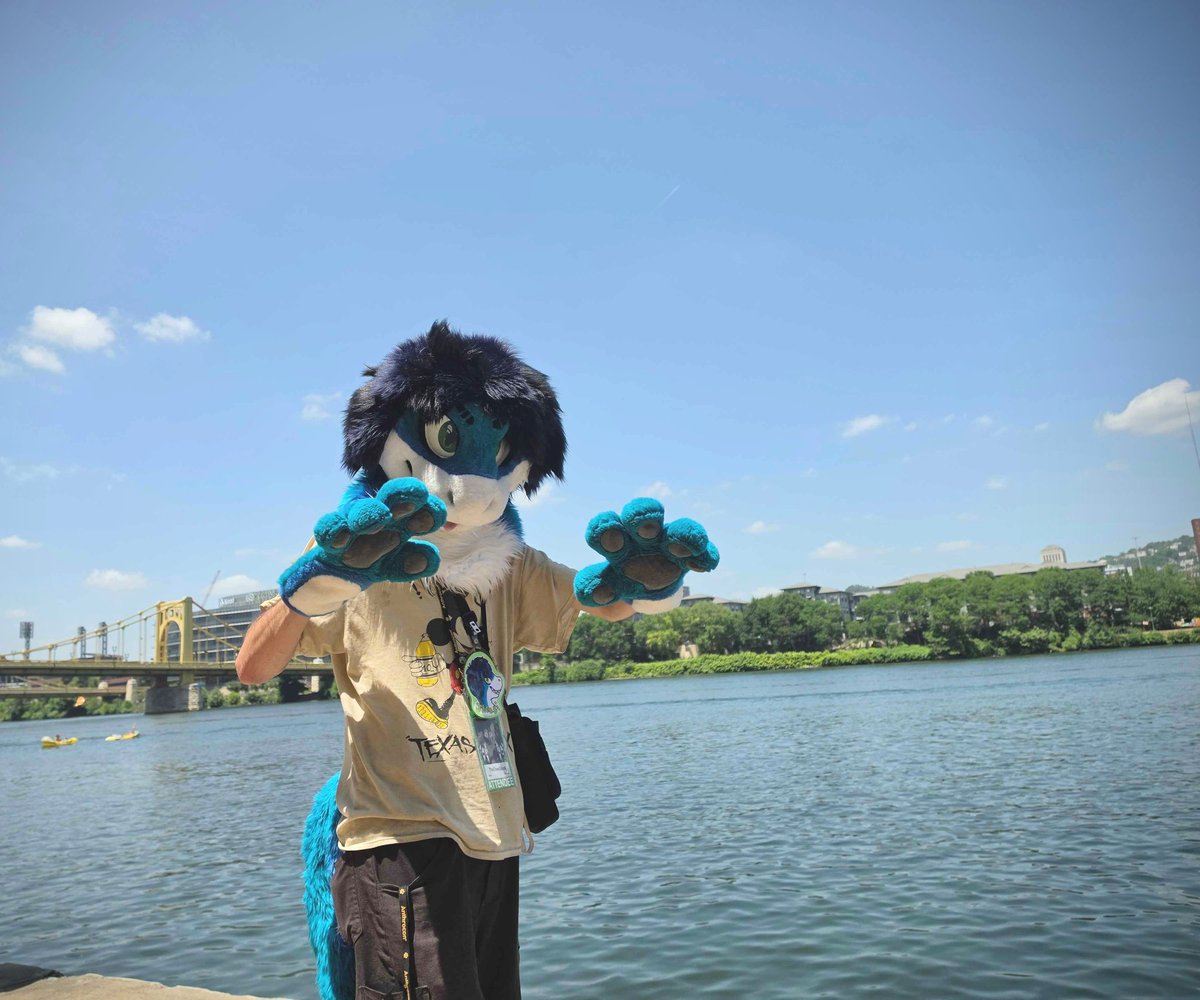 F4D3DF1UFF's tweet photo. 🦈 🌊 🌉 
More photos from Anthrocon! https://t.co/z7MngVls8A
