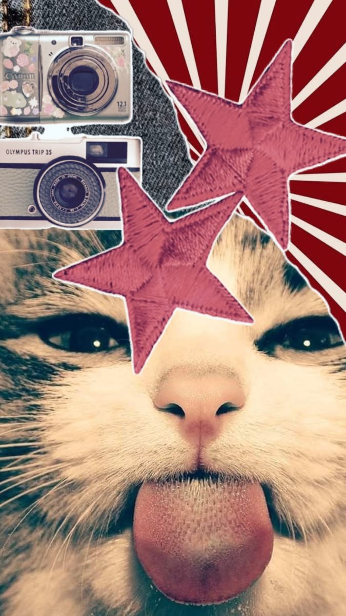 kolektifposter's tweet photo. Her duvarın biraz pati izi hak ettiğini düşünüyoruz. 🐾
Sevimli dostlarımızdan ilham alan özel tasarım poster koleksiyonumuz satışta!
📩 Sipariş için DM. https://t.co/dioGoDt9g9