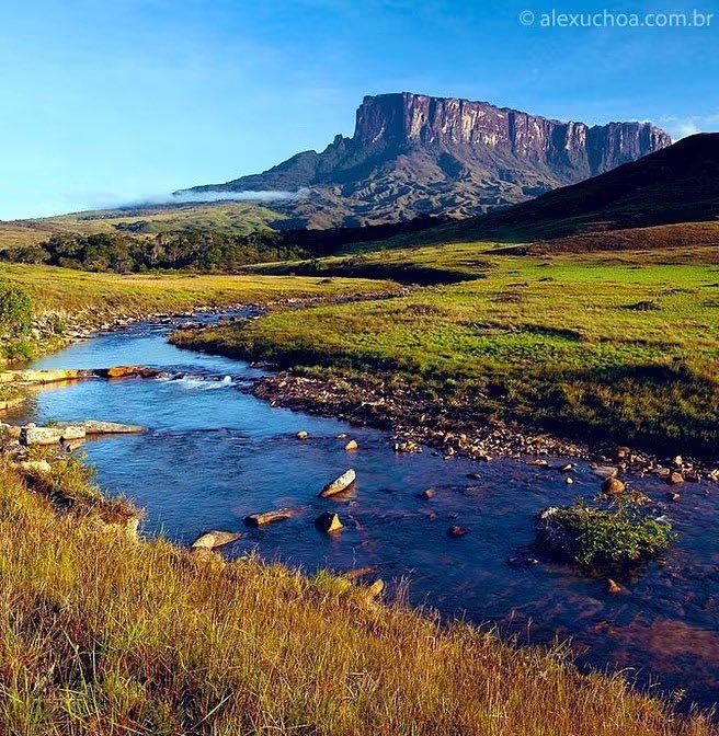 GianlucaCoccon1's tweet photo. Imponente 
KUKENÁN TEPUY 
La Gran Sabana Parque Nacional Canaima Edo Bolívar 
VENEZUELA 🇻🇪🇻🇪🇻🇪🇻🇪🇻🇪🇻🇪🇻🇪🇻🇪🇻🇪🇻🇪🇻🇪🇻🇪🇻🇪🇻🇪🇻🇪🇻🇪🇻🇪🇻🇪🇻🇪
@alexuchoa https://t.co/C7EwVWxGOs