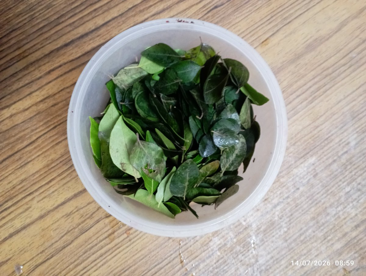 mkbadri123's tweet photo. @SamsungIndia  Purchased your refrigerator in 2023 attaching the fate of greens kept in this refrigerator just for a day either the model has a problem or some manufacturing defect please suggest https://t.co/yMx9vKO0ol