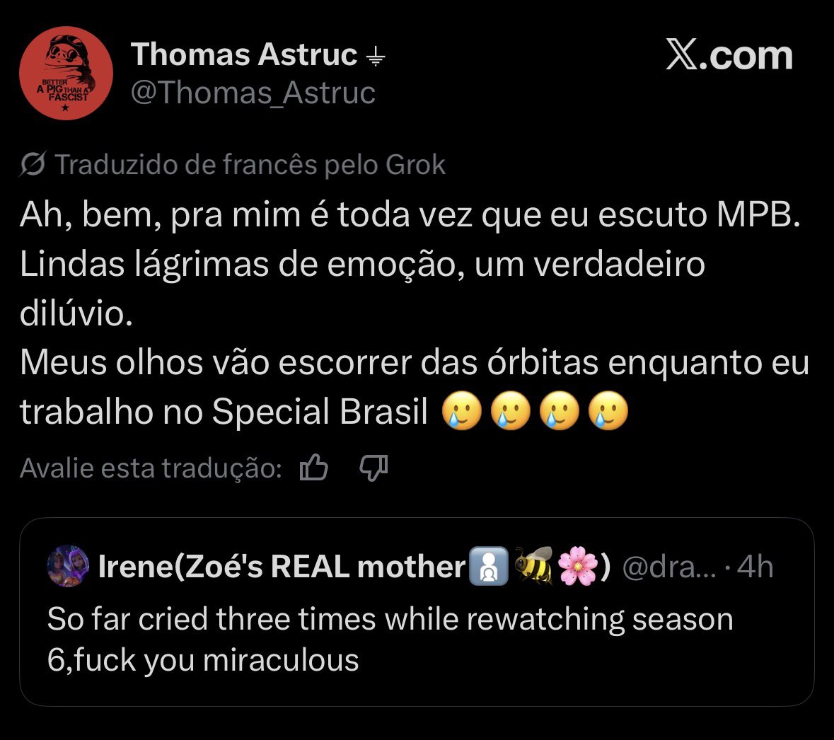 Guardiões dos Miraculous 🐞🇧🇷 #MiraculousDay tweet media