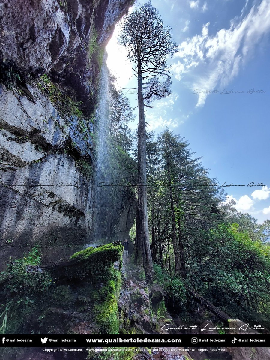 wal_ledezma's tweet photo. Pasando el IV túnel de Mexiquillo, me topé con la Cascada el Naranjito https://t.co/t8LgvEphka