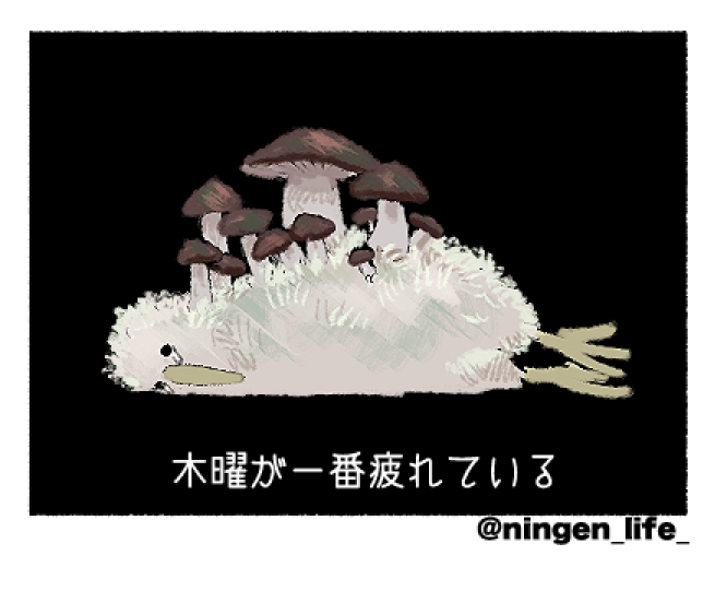 ningen_life_'s tweet photo. 今日も一日 https://t.co/rHBqEywwxp