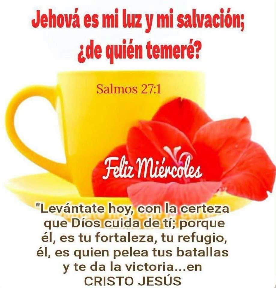 HAltisimo tweet picture