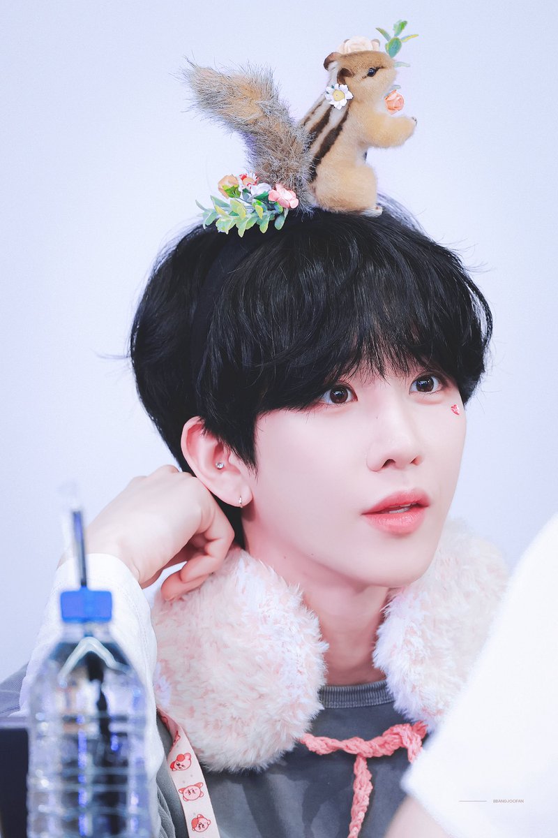 esprejoo's tweet photo. theyre watching too much fancam of my forest princess🙂‍↕️💞 https://t.co/22V1Sa97AS
