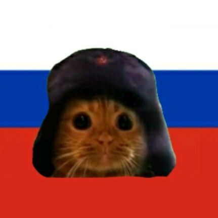 comrade tweet media